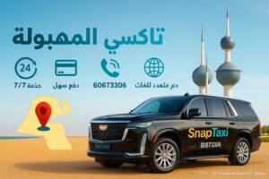 تاكسي المهبولة